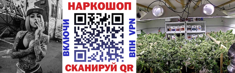 ГАШИШ Воронеж