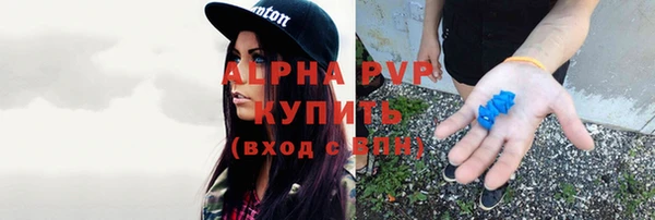 СК Елабуга