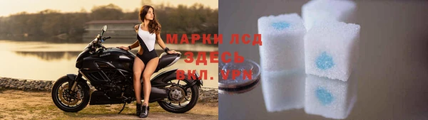 СК Елабуга