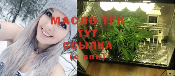 ешки Ельня