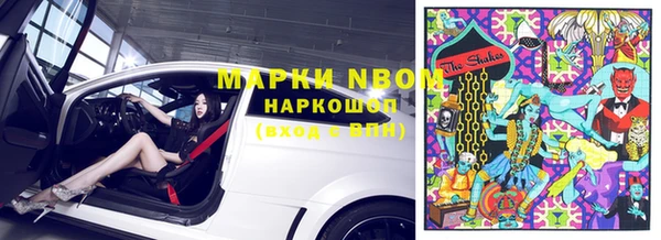 ешки Ельня