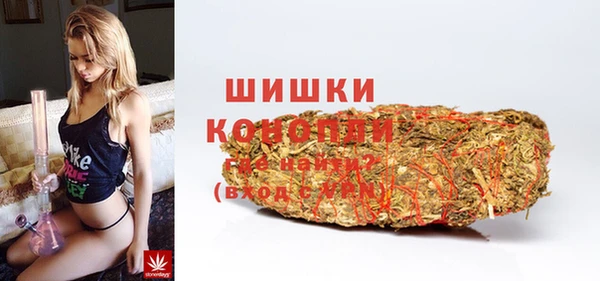 ешки Ельня