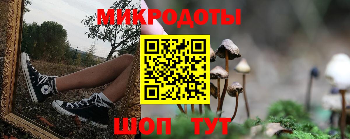 цена наркотик  Псилоцибиновые грибы GOLDEN TEACHER  Вход с VPN  Псилоцибиновые грибы Psilocybe  Воронеж 