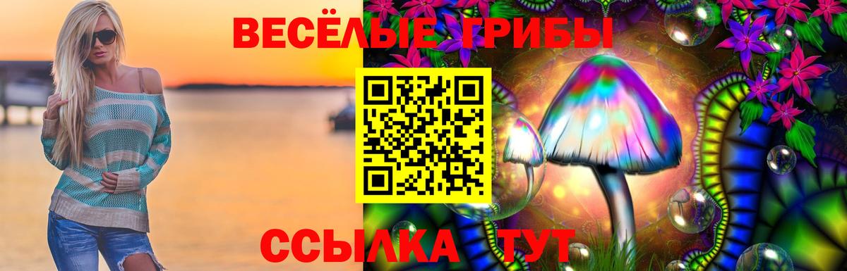 Псилоцибиновые грибы MAGIC MUSHROOMS  Воронеж 