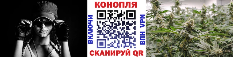 Конопля Bruce Banner  Воронеж 